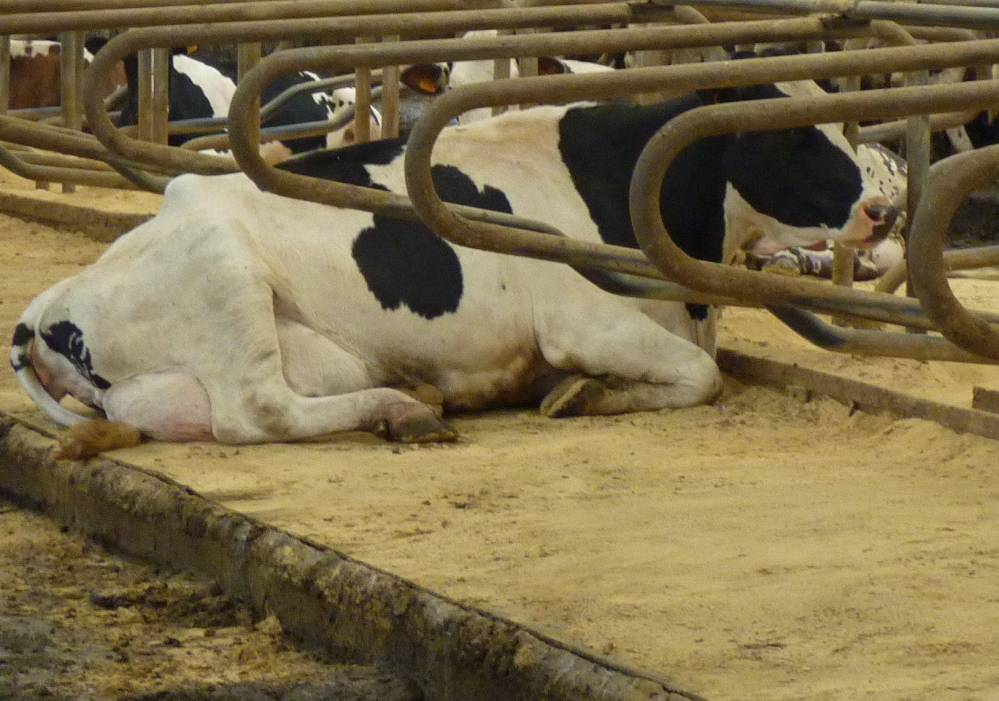 Solution agricole près de Poitiers 